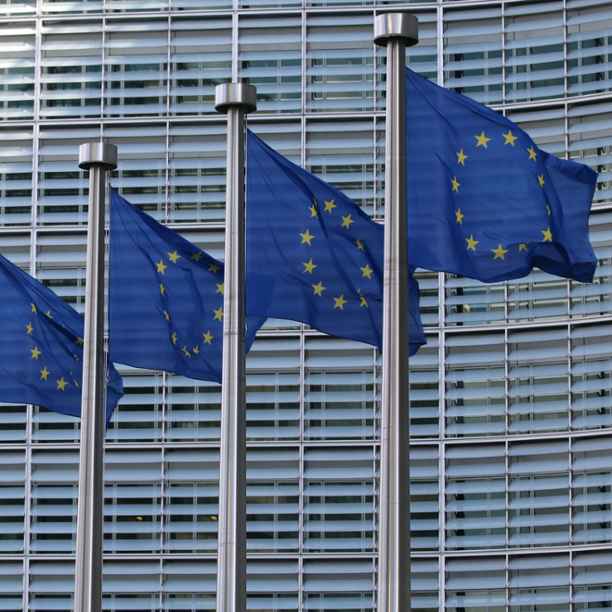 Die aktuelle Umsetzung der EU-Taxonomie führt zu einem verzerrten Bild