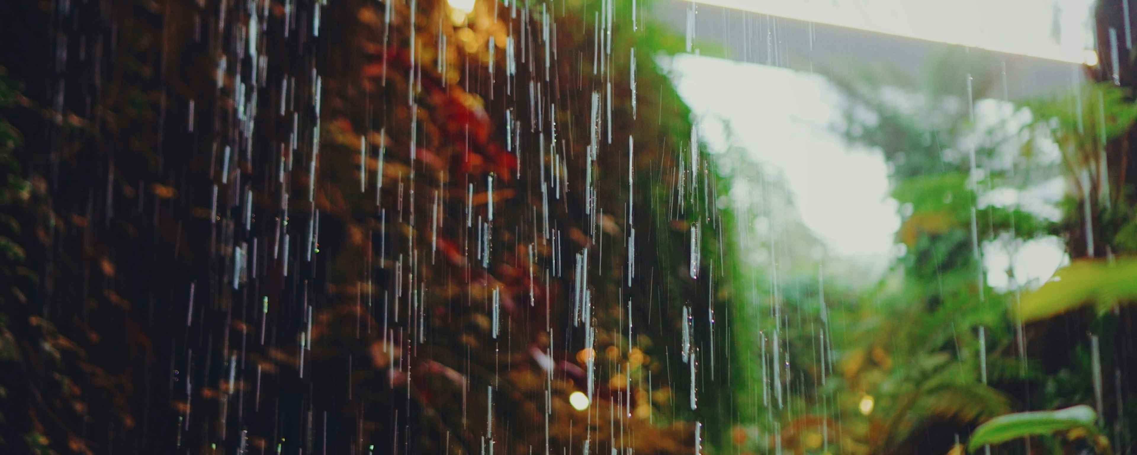 Regenwasser vor urbaner grüner Wand
